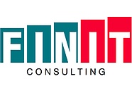 Finit Consulting